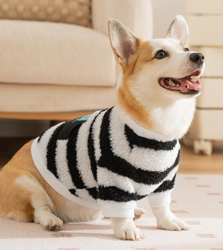 Dog monster clothes: Warm and stomach-protecting cotton-padded clothes for autumn and winter: two-legged clothes for medium and large-sized Corgis pets