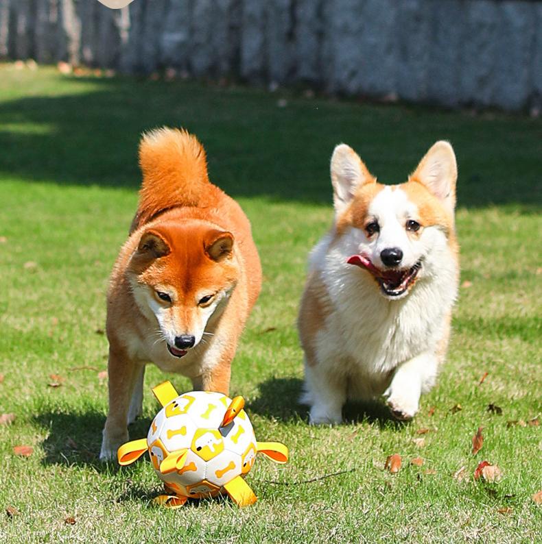 Pet football Outdoor interactive toys for dogs The molars are strong and durable. Pet dog training Dog toys