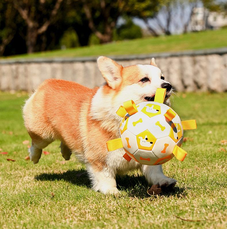 Pet football Outdoor interactive toys for dogs The molars are strong and durable. Pet dog training Dog toys