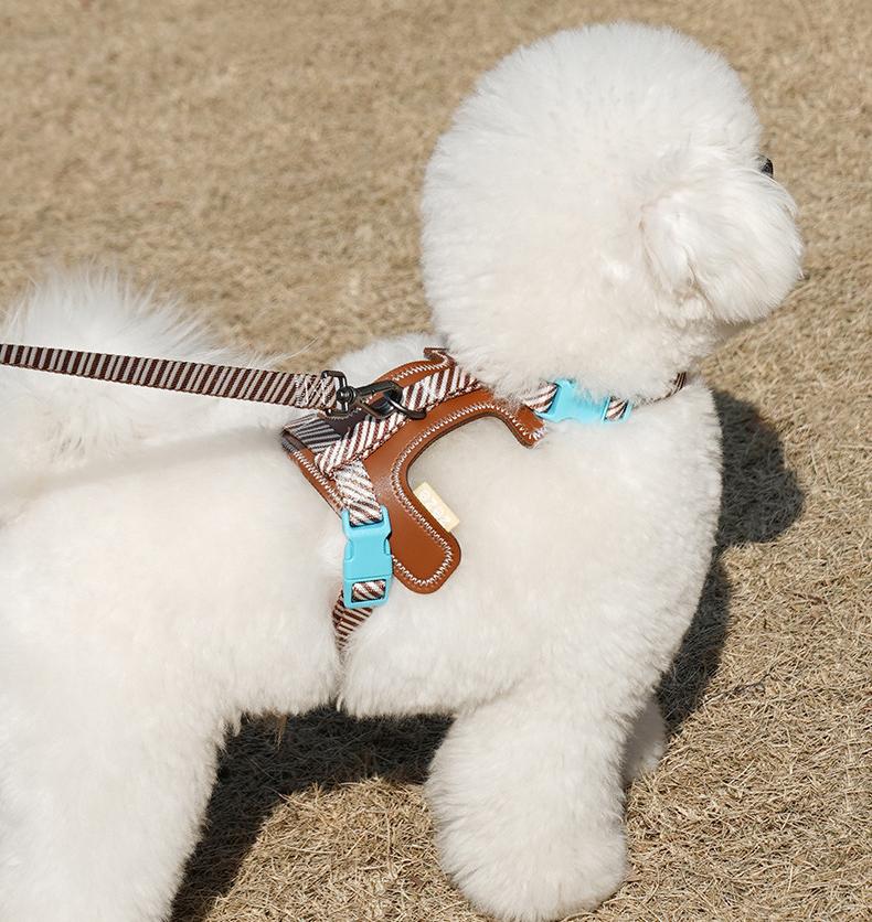 Dog and cat leashes; I-shaped anti-breakaway dog leash; Adjustable small dog chest and back straps for pet outings