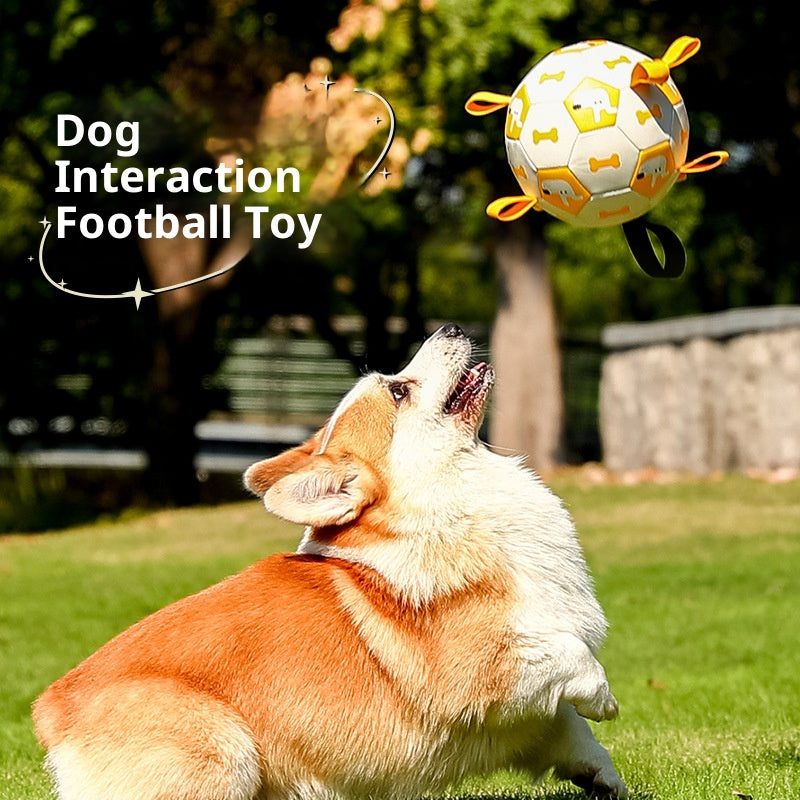 Pet football Outdoor interactive toys for dogs The molars are strong and durable. Pet dog training Dog toys