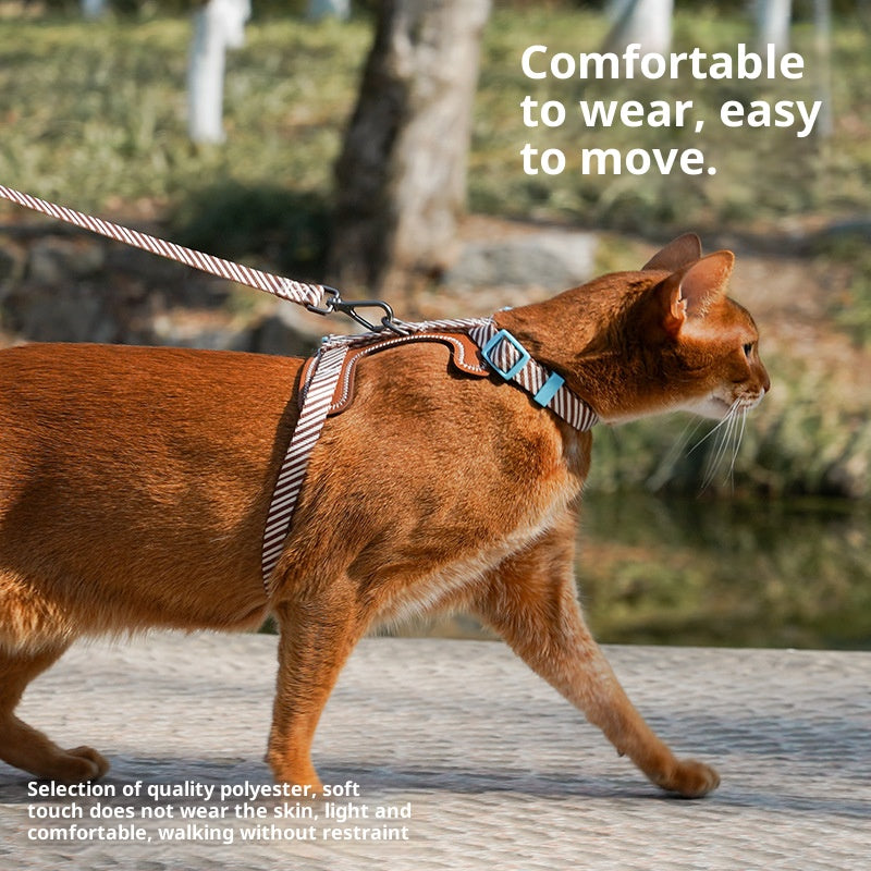 Dog and cat leashes; I-shaped anti-breakaway dog leash; Adjustable small dog chest and back straps for pet outings