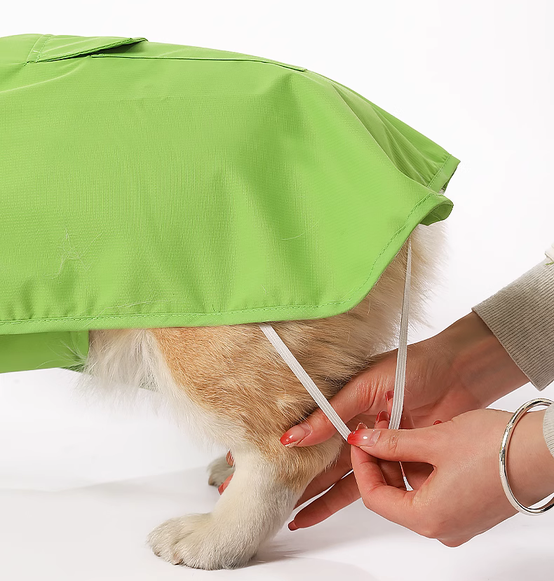 Pet raincoat; Puppy raincoat ;Suitable for medium and small-sized dogs; Waterproof and dirt-proof; Pet raincoat for going out; Green frog shape; Cloak raincoat