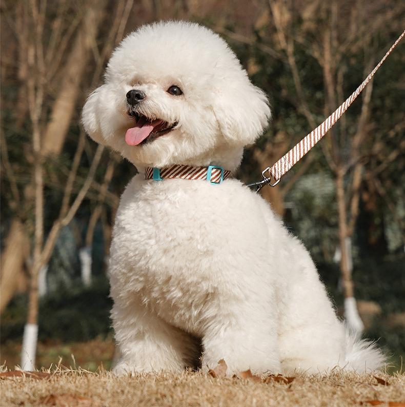 Dog and cat leashes; I-shaped anti-breakaway dog leash; Adjustable small dog chest and back straps for pet outings