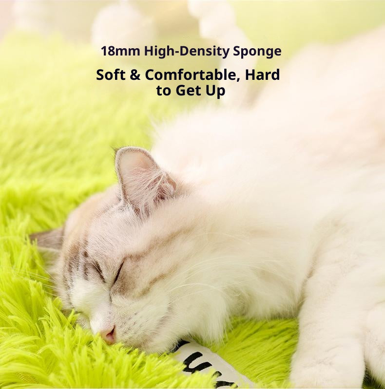 Tunnel cat bed All-season universal Cat Tunnel Detachable and washable; Drilling a hole to amuse oneself and relieve boredom; A safe cat bed that combines play and sleep