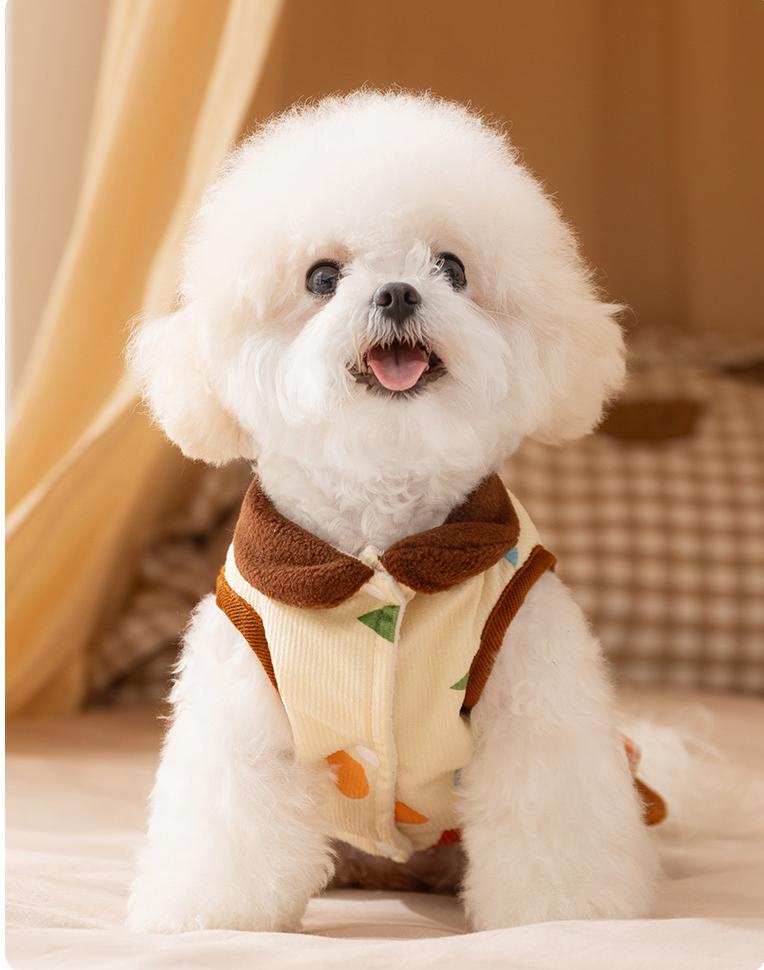 Warm corduroy princess-style cotton-padded jackets and skirts for small and medium-sized dogs in autumn and winter; Cat teddy pet dog clothes