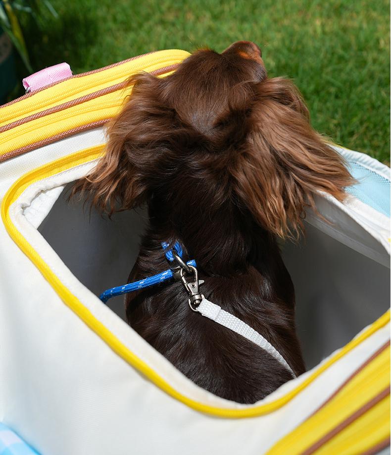 Pet outings bag Expansion pack with large capacity; Four-season universal cat bag, portable special bag for going out; Dog travel bag