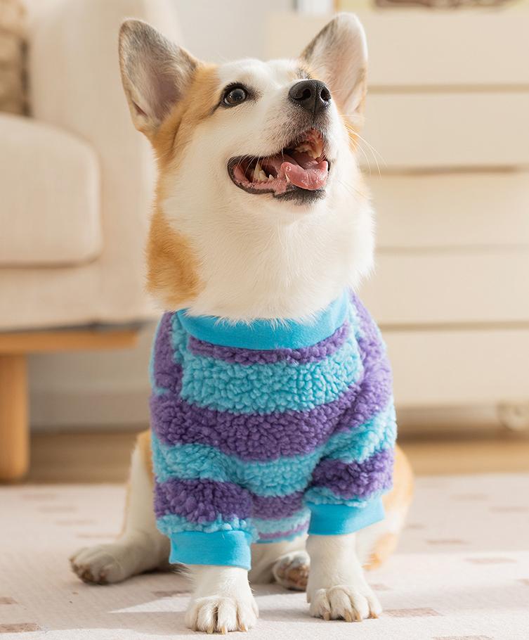 Dog monster clothes: Warm and stomach-protecting cotton-padded clothes for autumn and winter: two-legged clothes for medium and large-sized Corgis pets