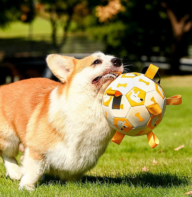 Pet football Outdoor interactive toys for dogs The molars are strong and durable. Pet dog training Dog toys