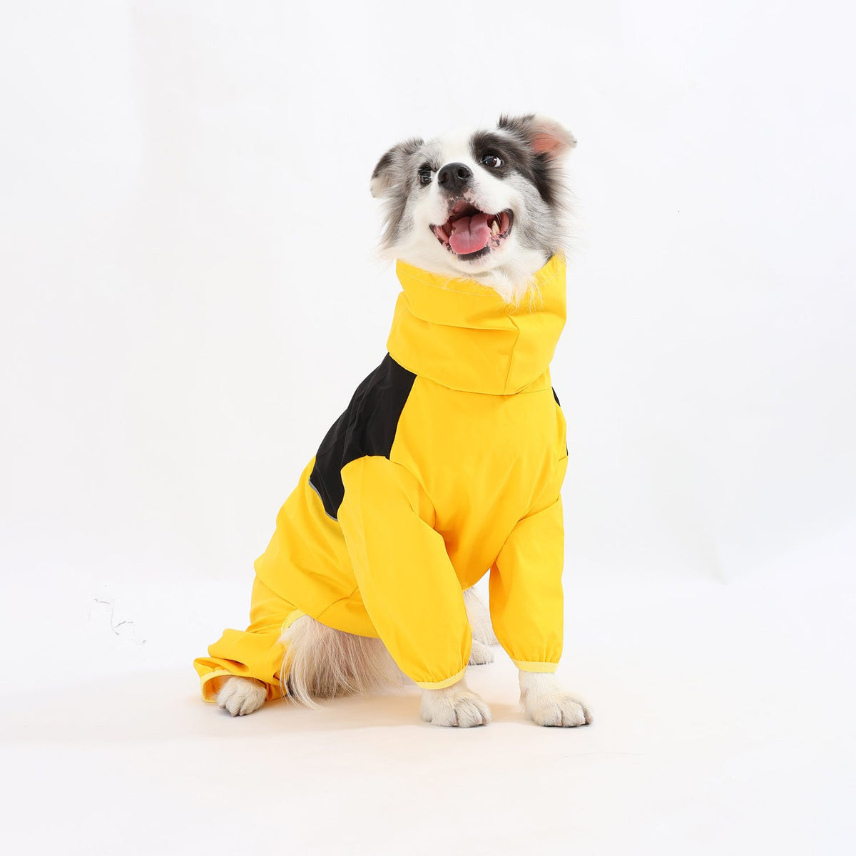 Pet clothing and accessories