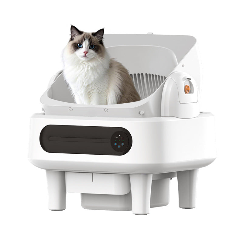cat litter box