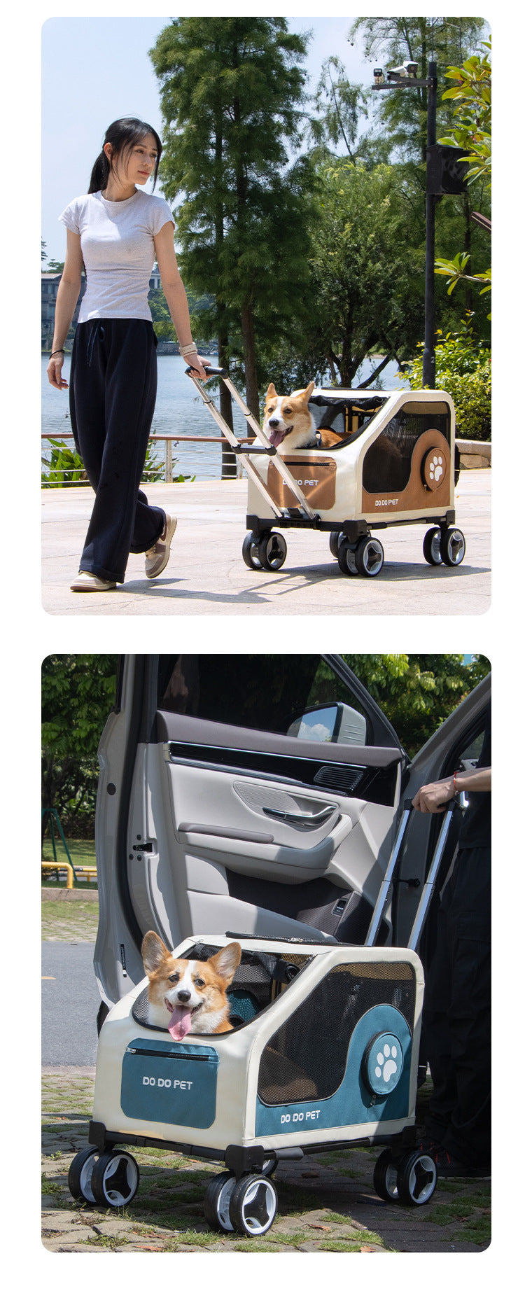 ddda03a5-7d02-4451-98d9-eba3bc444711