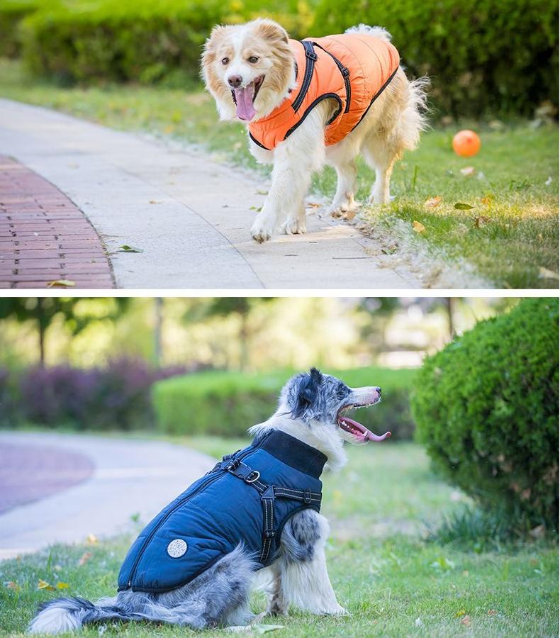 One-piece dog cotton-padded jacket for the chest and back; Autumn and winter dog cotton-padded jacket with zipper on the back; Warm and thickened chest and back one-piece design
