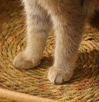 # Rattan Cat Ear Pet Bed: Suitable for all four seasons. Cat scratcher pet bed Pet cats made of rattan and straw can be disassembled and washed. Cat supplies