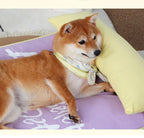 Pet dog bed mat All-season sofa cushion; Detachable and washable; Small and medium-sized dog and cat beds, puppy beds