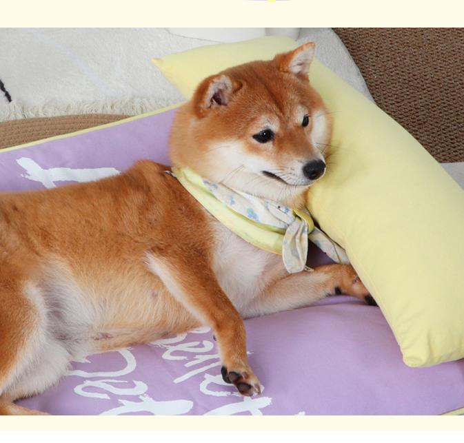 Pet dog bed mat All-season sofa cushion; Detachable and washable; Small and medium-sized dog and cat beds, puppy beds