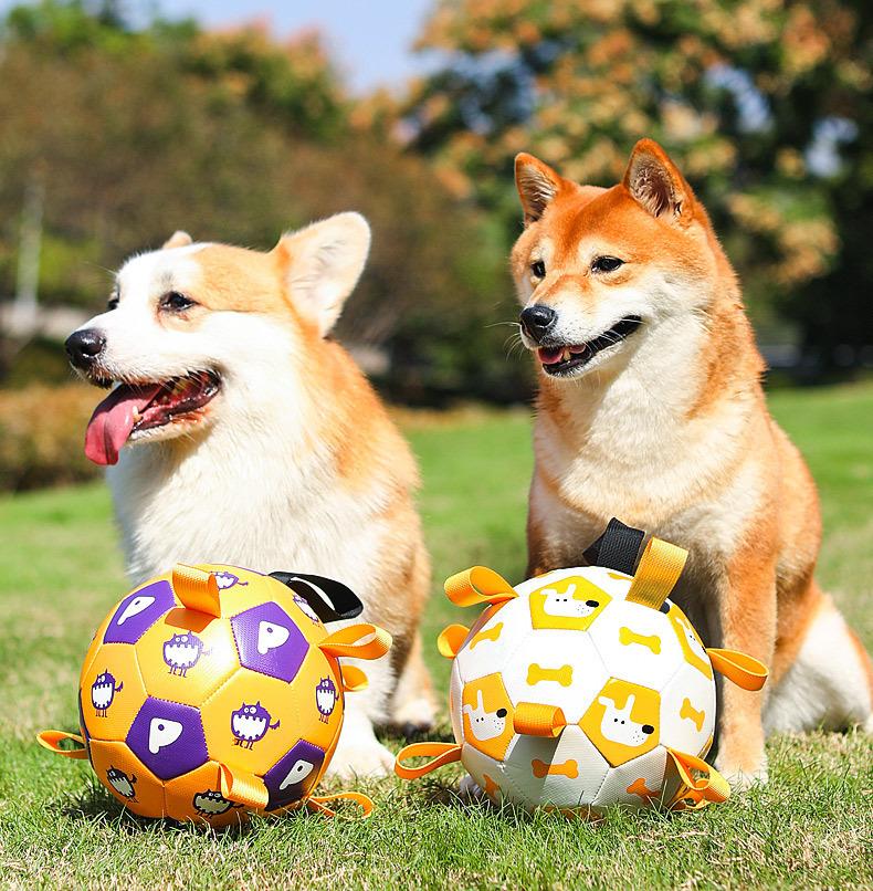 Pet football Outdoor interactive toys for dogs The molars are strong and durable. Pet dog training Dog toys