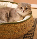 # Rattan Cat Ear Pet Bed: Suitable for all four seasons. Cat scratcher pet bed Pet cats made of rattan and straw can be disassembled and washed. Cat supplies