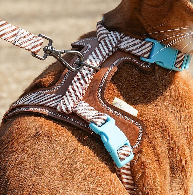 Dog and cat leashes; I-shaped anti-breakaway dog leash; Adjustable small dog chest and back straps for pet outings