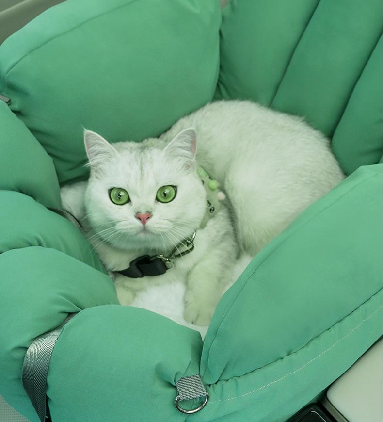 Dual-purpose car cat bed: It can be used both in a car and by hand. Portable cat bed for going out; Four-season universal closed cat bed; Windproof and warm