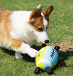 Outdoor dog toy rugby ball Outdoor toys for pets to enjoy themselves Specialized dog rugby for training