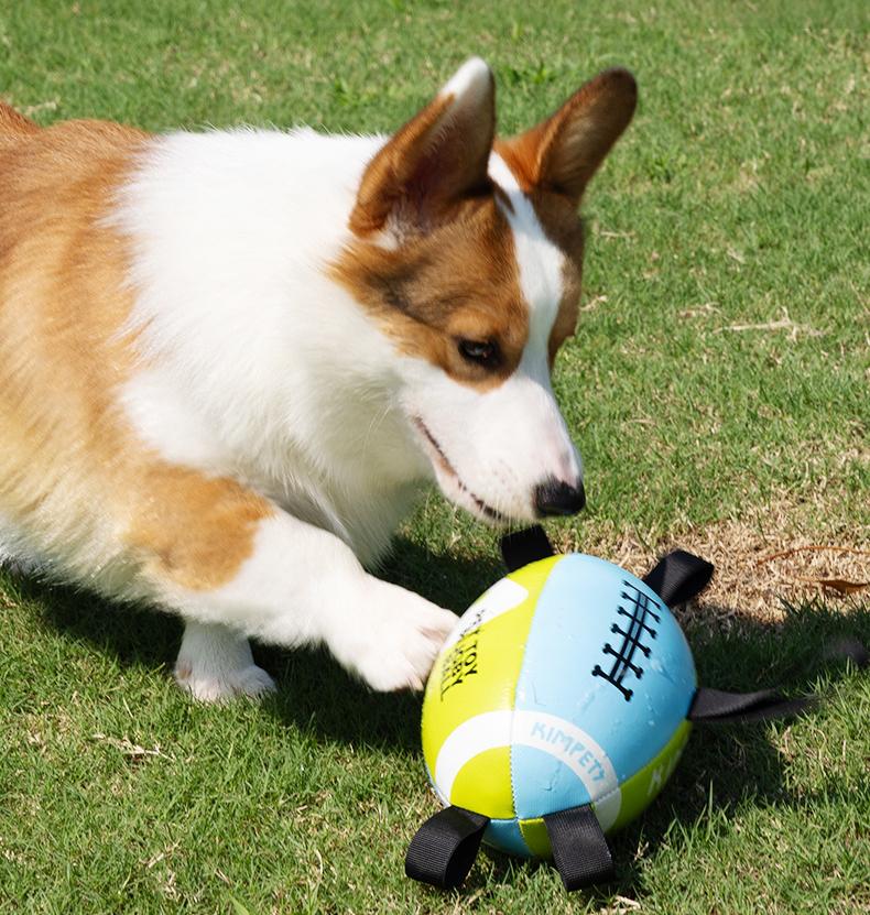 Outdoor dog toy rugby ball Outdoor toys for pets to enjoy themselves Specialized dog rugby for training