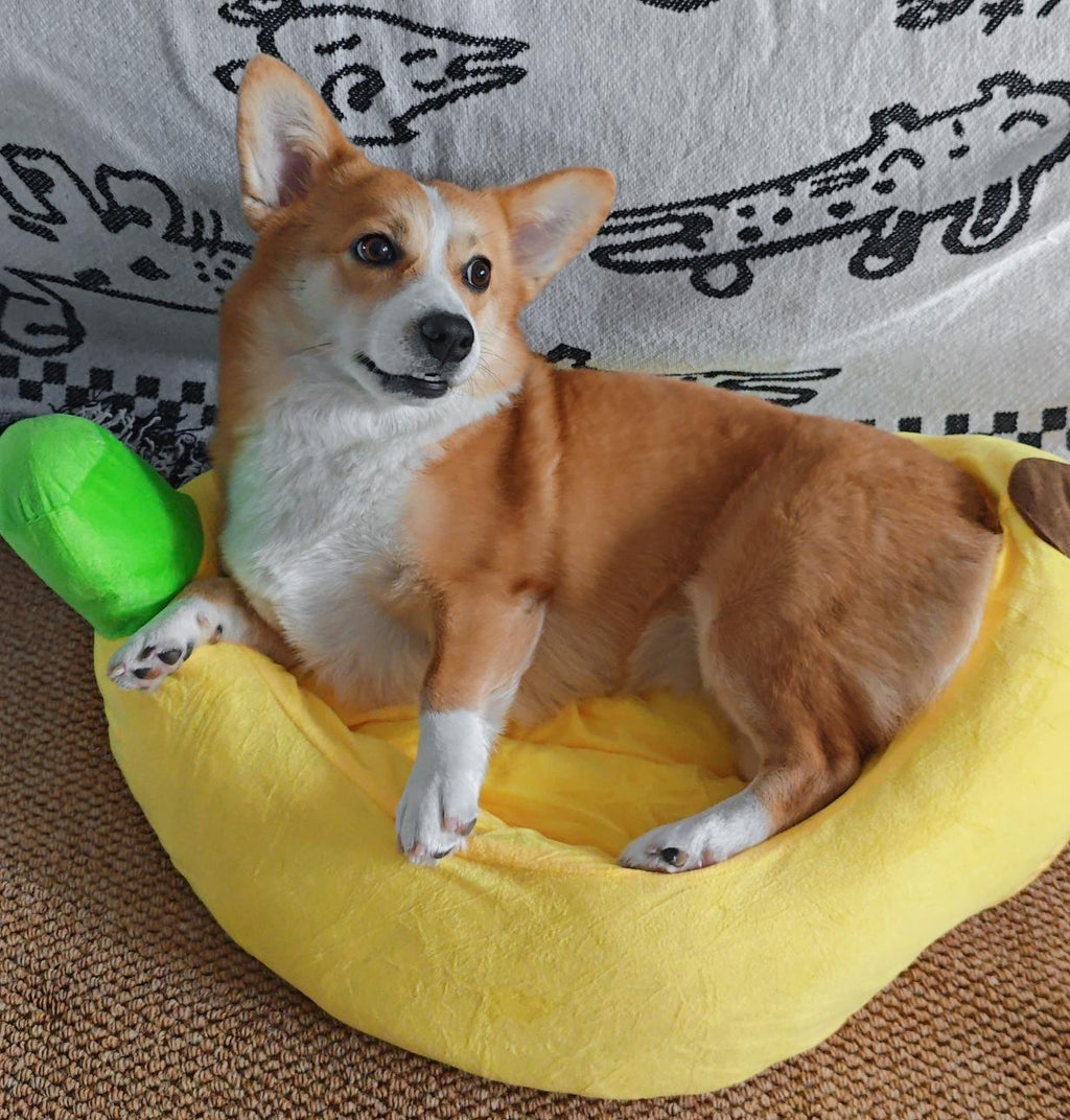 Banana boat-shaped pet bed; Wholesale detachable and washable all-season pet beds for dogs. Warm cat bed