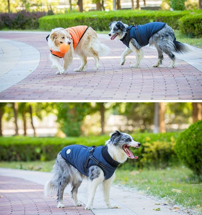 One-piece dog cotton-padded jacket for the chest and back; Autumn and winter dog cotton-padded jacket with zipper on the back; Warm and thickened chest and back one-piece design