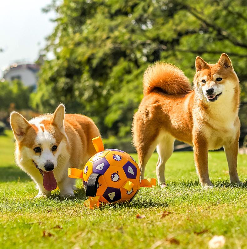 Pet football Outdoor interactive toys for dogs The molars are strong and durable. Pet dog training Dog toys