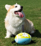 Outdoor dog toy rugby ball Outdoor toys for pets to enjoy themselves Specialized dog rugby for training