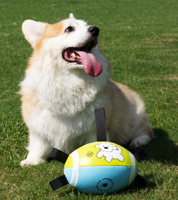 Outdoor dog toy rugby ball Outdoor toys for pets to enjoy themselves Specialized dog rugby for training