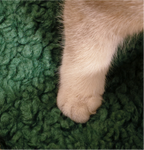 Christmas Limited Edition · Basket-style Pet Bed: Cat and Dog Christmas Bed; Cat Christmas bed A semi-enclosed winter thickened and warm Christmas pet bed for small dogs