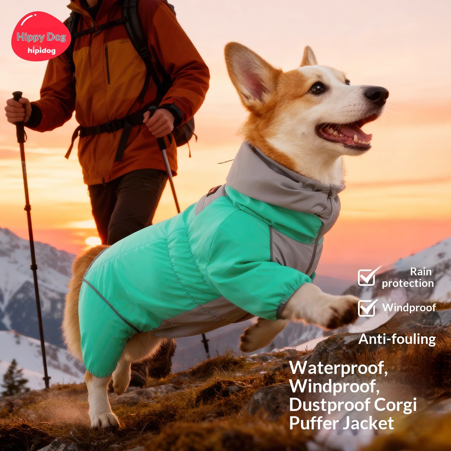 Winter dog clothes; Three-proof Corgi windbreaker with fleece. Waterproof pet clothing for medium-sized dogs going out in autumn and winter