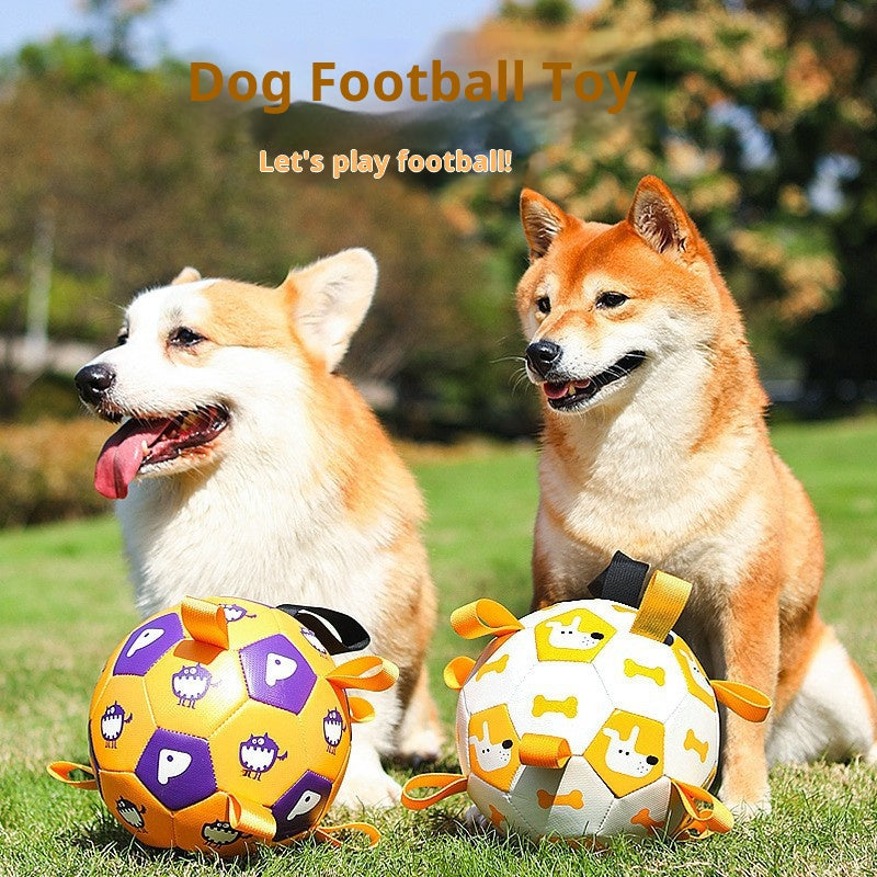 Pet football Outdoor interactive toys for dogs The molars are strong and durable. Pet dog training Dog toys