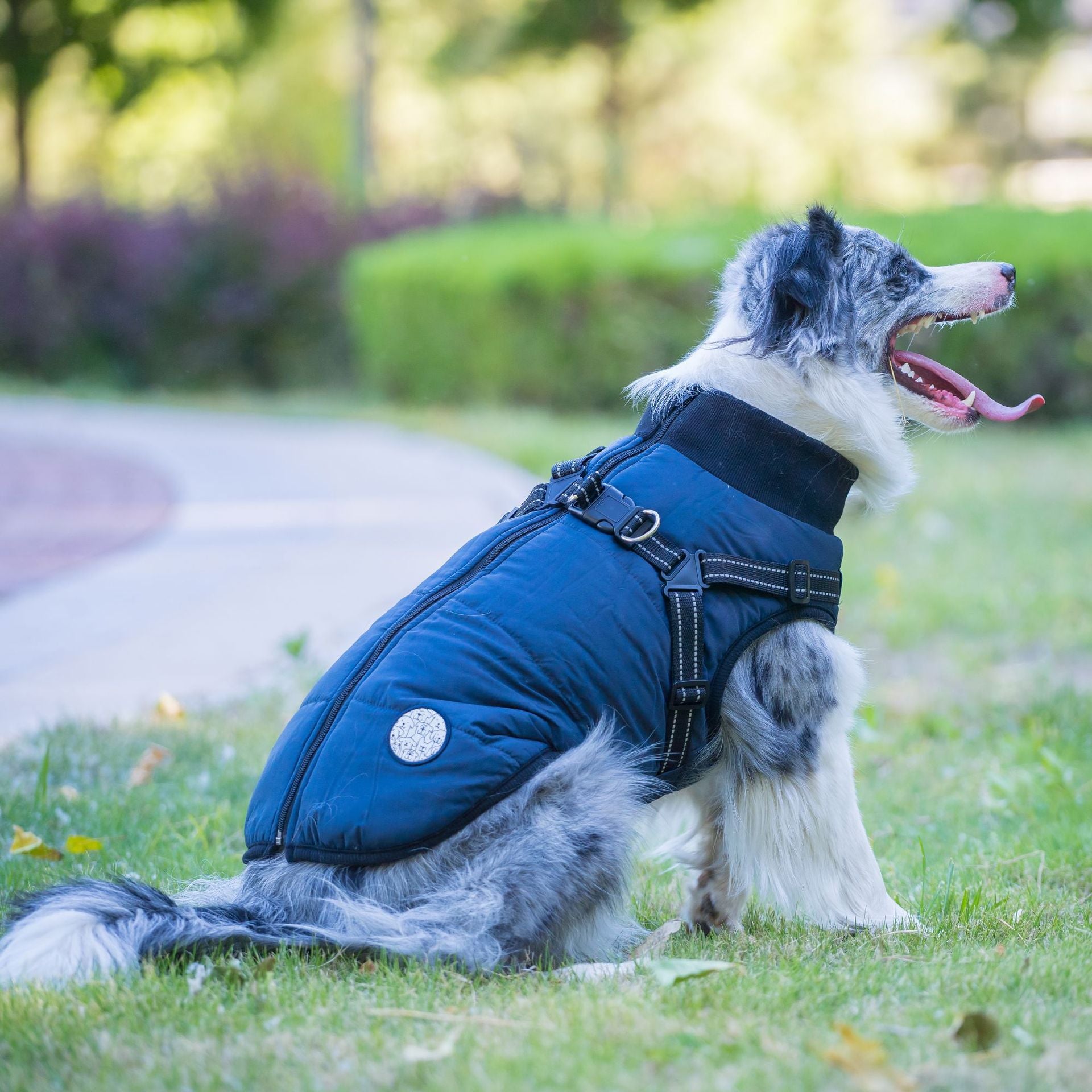 One-piece dog cotton-padded jacket for the chest and back; Autumn and winter dog cotton-padded jacket with zipper on the back; Warm and thickened chest and back one-piece design