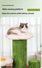 Cat Climbing Frame Solid Wood Home Cat Scratching Board Cat House Integrated Large Cat Toy Pet Fitness Multi-layer Cat Climbing Frame Cactus