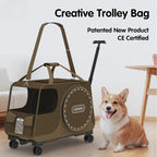 113c4134-b972-4fc1-9a8e-22523975ead4