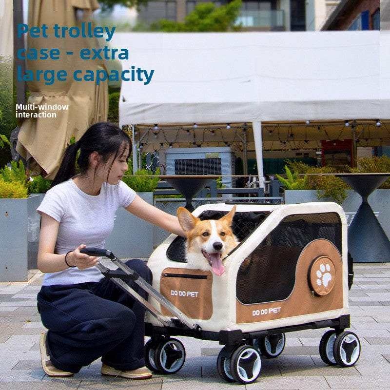 04ecd1f4-b74b-488b-9eaa-dbe467eeb574