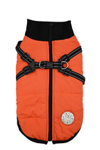 One-piece dog cotton-padded jacket for the chest and back; Autumn and winter dog cotton-padded jacket with zipper on the back; Warm and thickened chest and back one-piece design