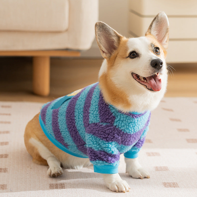 Dog monster clothes: Warm and stomach-protecting cotton-padded clothes for autumn and winter: two-legged clothes for medium and large-sized Corgis pets