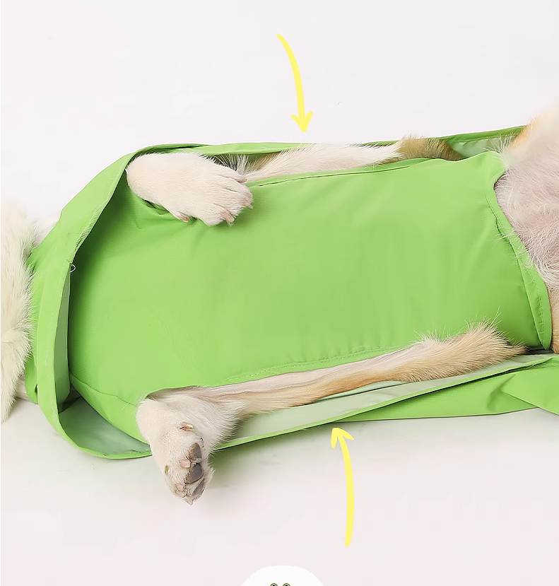 Pet raincoat； Puppy raincoat ；Suitable for medium and small-sized dogs; Waterproof and dirt-proof; Pet raincoat for going out; Green frog shape; Cloak raincoat