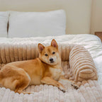 85827cfe-ebea-4ce1-87a3-04f939ff4bba