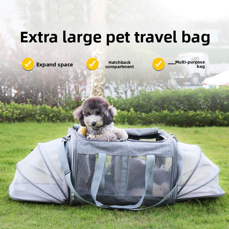 2660184b-80f6-42e1-a743-507929923ae8