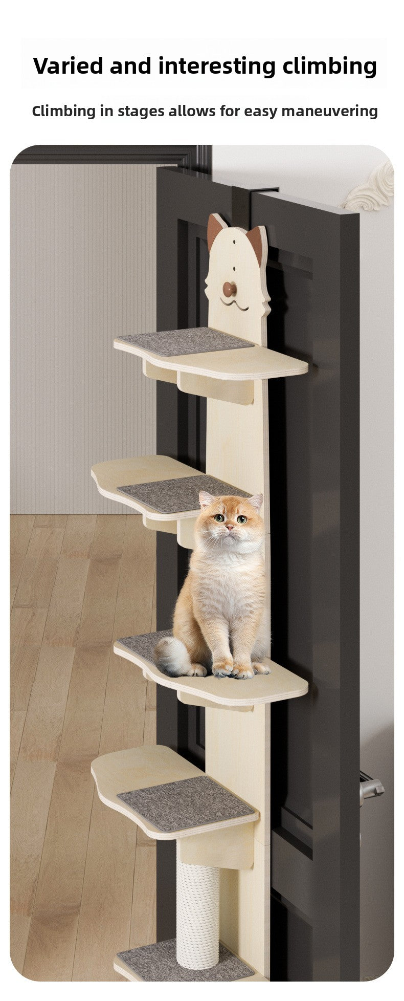 8603a536-9b77-4e3a-9c8f-bbb202dba44f