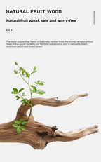 b2eff126-79c2-4f18-8937-a5e80afdd6f0