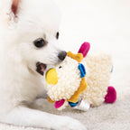 Dog toy noise paper; Tooth-grinding plush sound-making toy Puppies relieve boredom. Puppy pet toys