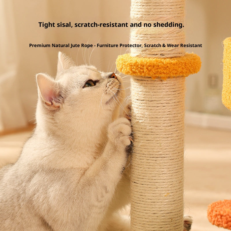 Cat climbing frame, cat bed, pumpkin style Jumping platform cat scratcher, small cat scratcher board Pet cat toys