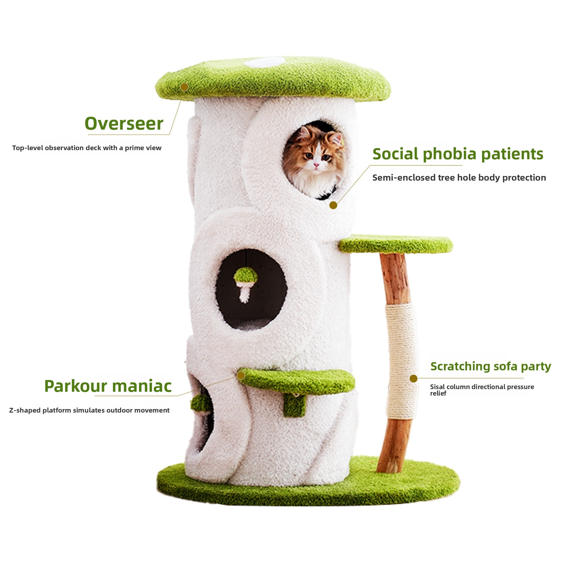 edb82954-06ea-4571-8b49-8ce83e9cd902