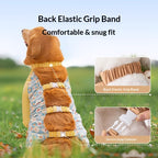 Pet dog dust-proof clothing for going out, full coverage on all four legs, waterproof and stain-resistant, comfortable and unrestrained. For large dogs