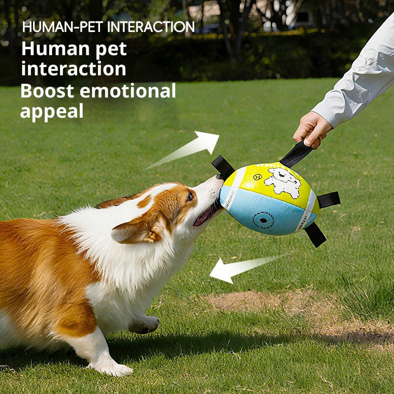 Outdoor dog toy rugby ball Outdoor toys for pets to enjoy themselves Specialized dog rugby for training